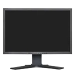 Monitory
